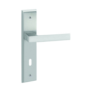 Q Mini for doors on plate