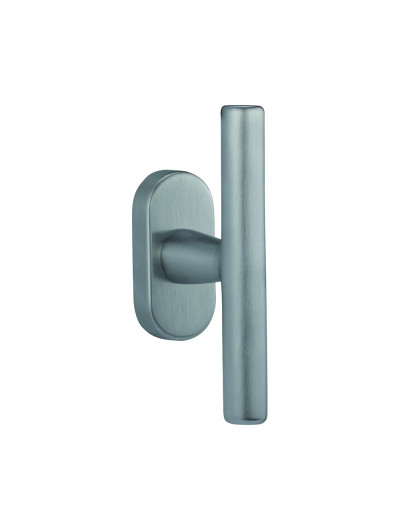 Florida for windows on rose