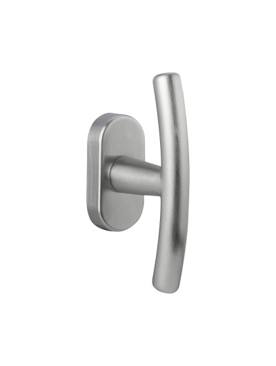 Sabina for windows on rose