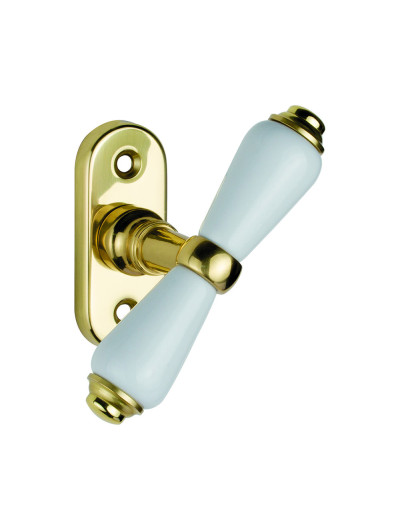 Cinzia for windows on rose