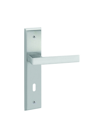 Q Mini for doors on plate