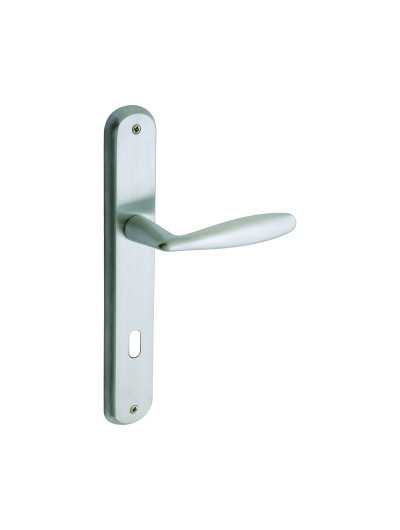 Alise for doors on plate